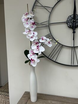 White And Pink Phalenopsis Orchid In Tall Slim Vase, 3 of 8