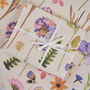Pressed Flowers Luxury Gift Wrapping Paper, thumbnail 4 of 4