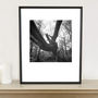 Fallen Tree, Thornham Walks Photographic Art Print, thumbnail 1 of 4