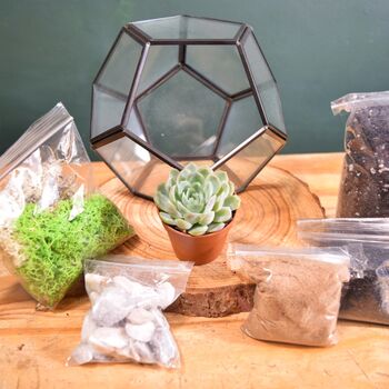 Black Geometric Terrarium Kit With Succulent, 6 of 11