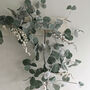 White Berry And Frosted Eucalyptus Garland, thumbnail 2 of 2