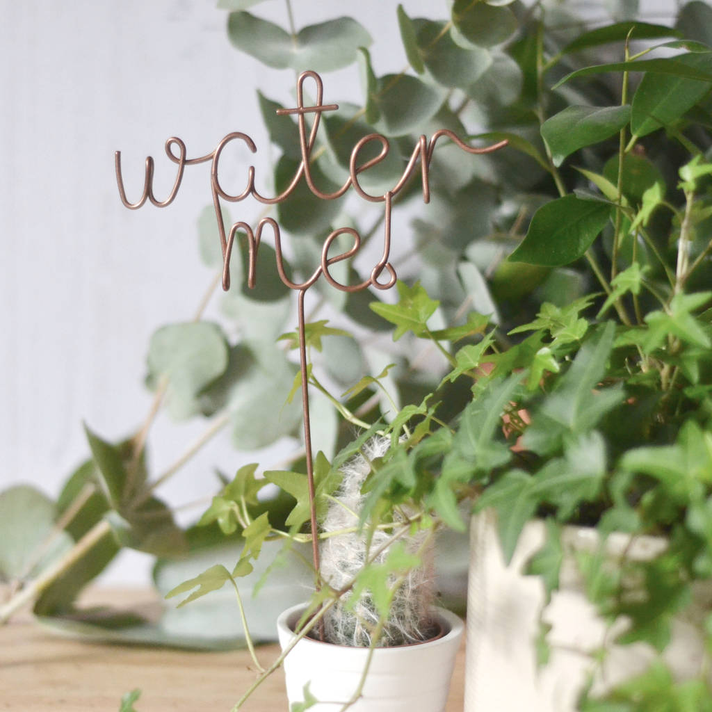 Water Me! Plant Topper By The Letter Loft ...