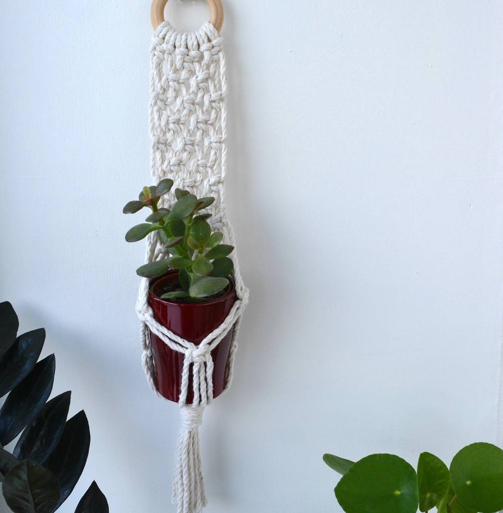 Mini Macrame Wall Hanging. Succulent And Ceramic Pot By Thread Squirrel