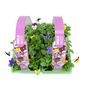 Viola Mixed 2x 6 Packs 12 Plants, thumbnail 3 of 3