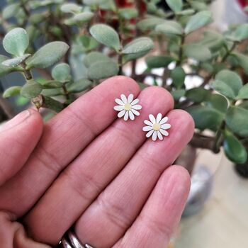 Little Aster Earrings In Silver And 18ct Gold, 5 of 6