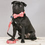 Christmas Red Festive Dog Collar Bow Tie Lead Gift Set, thumbnail 6 of 6