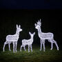 Swinsty Dual LED Plug In Reindeer Family, thumbnail 6 of 7