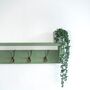 Green Coat Rack With Shelf, Shelf 10cm Deep, Shelf With Hooks, Black, Silver, Bronze, Copper, Chrome, Brass Hooks, Painted In F And B No.34, thumbnail 6 of 8