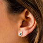 Holi Jewel Birthstone Silver Stud Earrings, thumbnail 1 of 9
