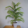 90cm Artificial Palm Tree Potted In Decorative Planter, thumbnail 1 of 4