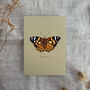 Vintage Feel Butterfly Art Print, thumbnail 2 of 10