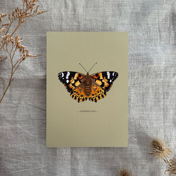 Vintage Feel Butterfly Art Print, 2 of 10