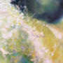 The Queen Of May, thumbnail 6 of 7