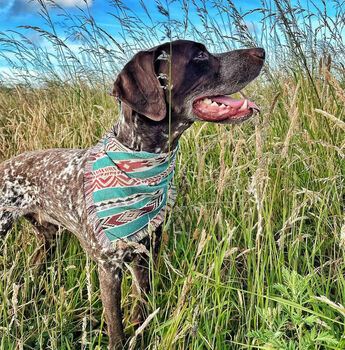 Frayed Aquamarine Sands Bandana Scamps, 4 of 4