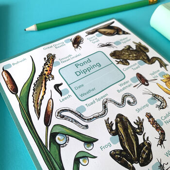 Pond Dipping Journal Notepad, 5 of 11