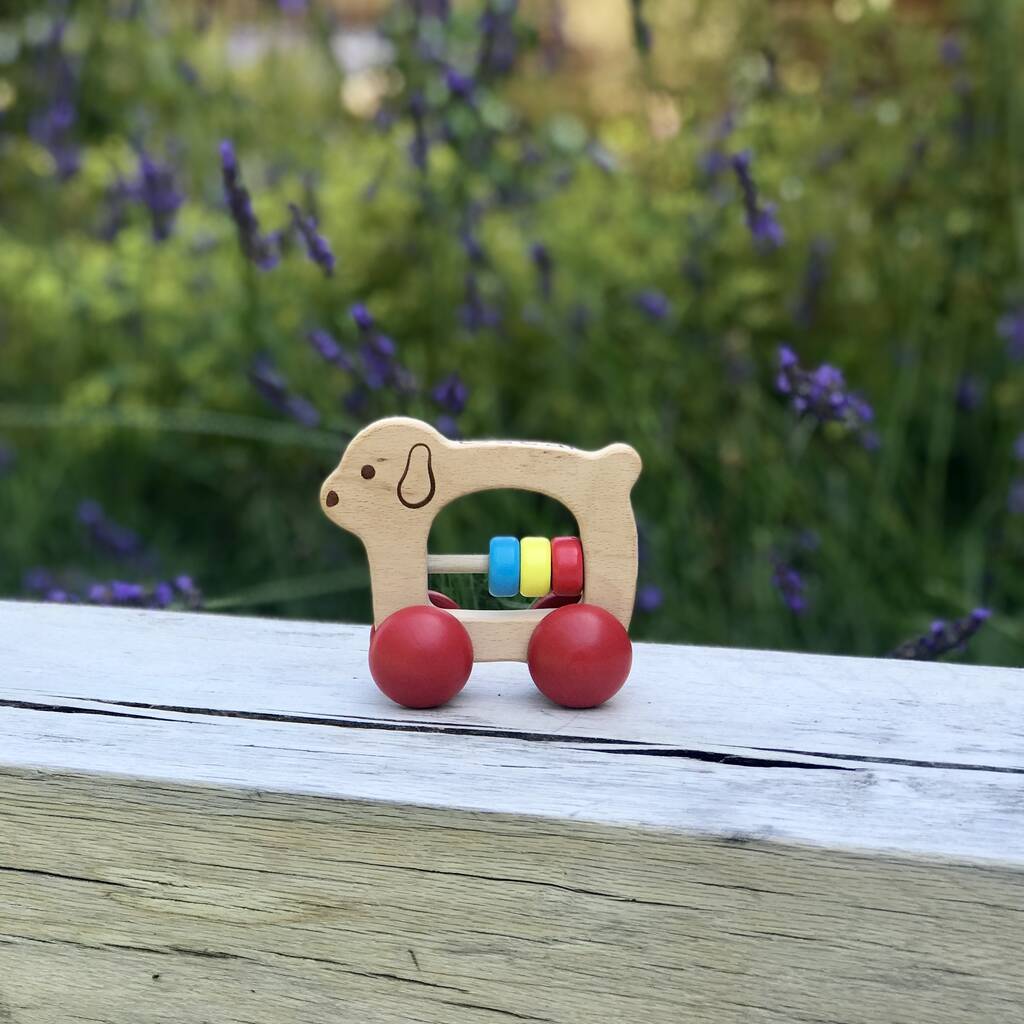 my first personalised wooden push along toy by harmony at home children