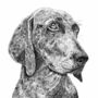 Weimaraner Dog Print, thumbnail 3 of 3