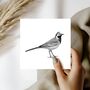 Wagtail Bird – Hand Drawn Nature Greeting Card Illustration, thumbnail 1 of 6