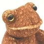 Mini Plush Soft Toy Toad Frog In Gift Box, thumbnail 3 of 6