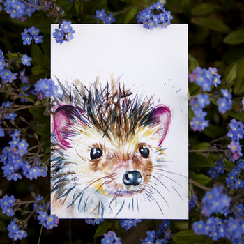 Inky Hedgehog Postcards, 4 of 5