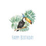 Party Toucan Hand Painted Birthday Card, thumbnail 2 of 2