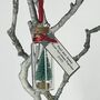 Tiny Christmas Tree In A Bottle Personalised Bauble, thumbnail 11 of 12