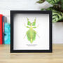 Jacob's Leaf Insect Bug Entomology Taxidermy Box Frame, thumbnail 1 of 3