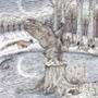 'Christmas Owls And Pheasants' Mixed Pack Of Ten Cards, thumbnail 9 of 10