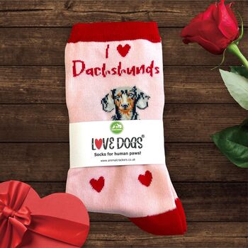 I Love Dachshunds Socks Novelty Gift, 2 of 7