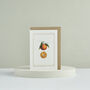 Botanist Archive Clementine Christmas Card, thumbnail 3 of 4