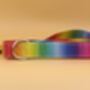 Rainbow Ombré Dog Collar And Lead Accessory Set, thumbnail 4 of 12