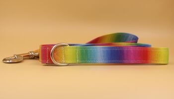 Rainbow Ombré Dog Collar And Lead Accessory Set, 4 of 12