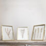 Set Of Three: Gold Pressed Flower Frames Small, thumbnail 7 of 9