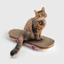 Cat Scratch Skateboard, thumbnail 2 of 5