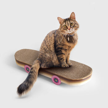 Cat Scratch Skateboard, 2 of 5