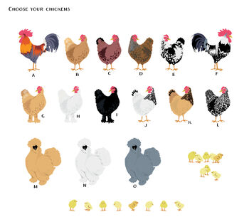 Chicken Family Note Cards, 3 of 5