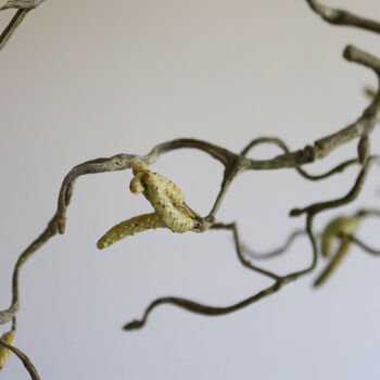 Faux Willow Catkin Branch, 2 of 3