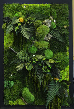 Moss Wall Art | Botanical Art, 2 of 5