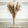 Artificial Large Pampas Flowers 12pc Set, thumbnail 3 of 5