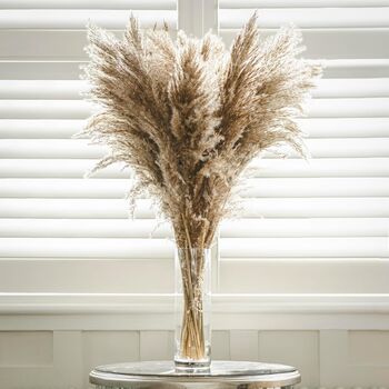 Artificial Large Pampas Flowers 12pc Set, 3 of 5