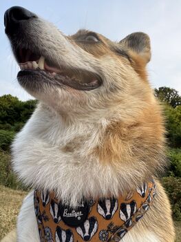 Woodland Badger Dog Harness, 4 of 12