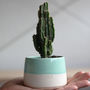 Personalised 'You're Fab' Ceramic Indoor Plant Pot, thumbnail 1 of 8