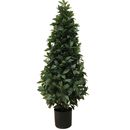 artificial bay cone topiary tree by artificial landscapes ...