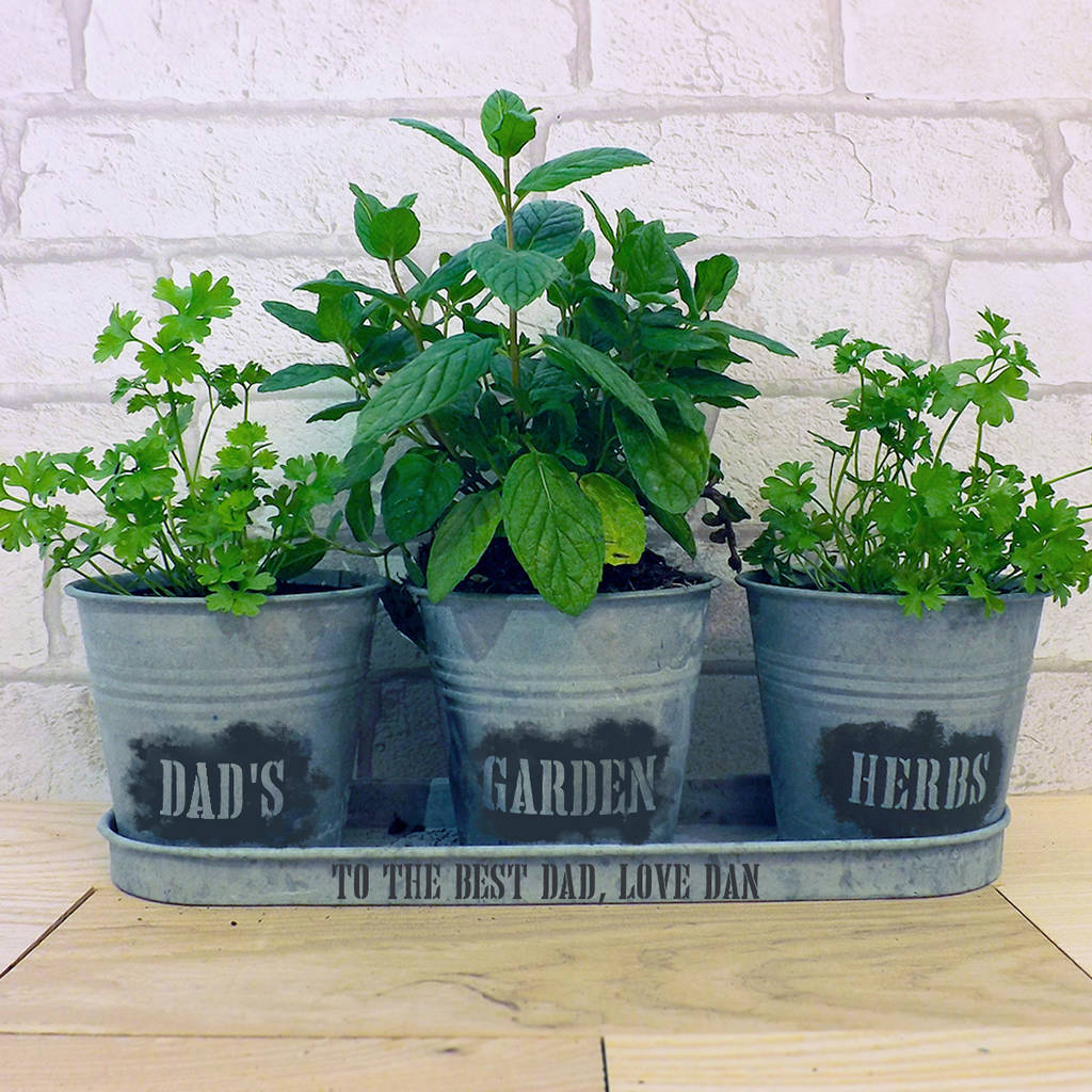 Personalised Zinc Herb Planter By Jonny's Sister