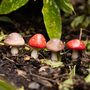 Set Of Four Mini Mushroom Plant Pot Pals, thumbnail 1 of 2