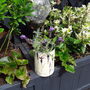 Purple Petals Miniature Bee House Garden Gift Box, thumbnail 2 of 7