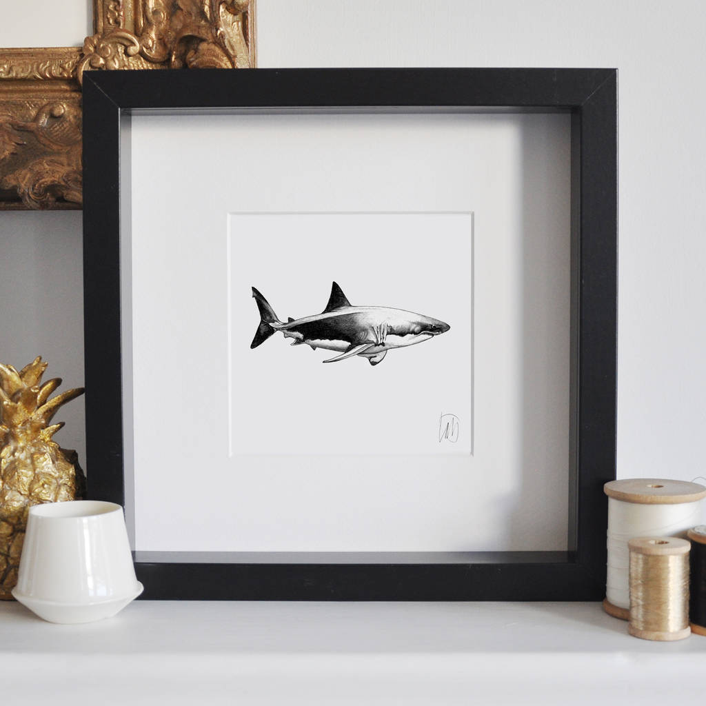 Framed Great White Shark Print By Lale Guralp | notonthehighstreet.com