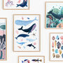 Whale Species Art Print, thumbnail 6 of 7