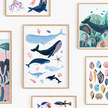 Whale Species Art Print, 6 of 7