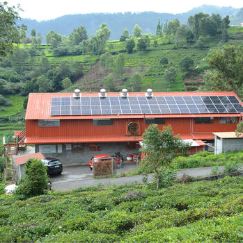 Solar Chai Loose Leaf Tea And Glass Teapot, 8 of 10